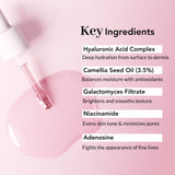 Dual Glow Hyalu Balance Serum 1.01 Fl Oz Hyaluronic Acid Serum Perfect Balance